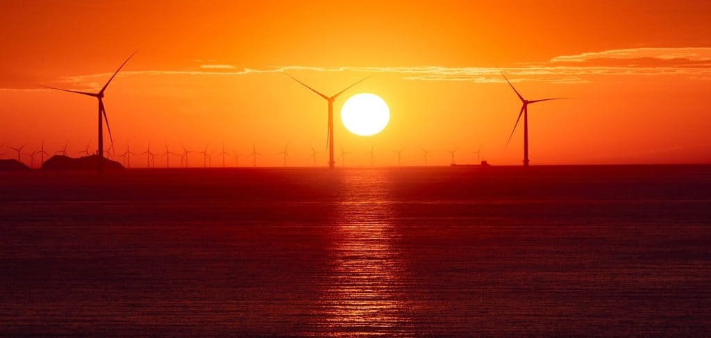 15 belle notizie dell'estate 2026 sulla transizione energetica